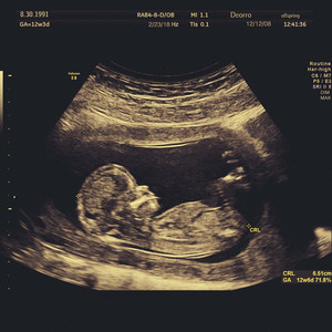 中国精品黄片大片大
