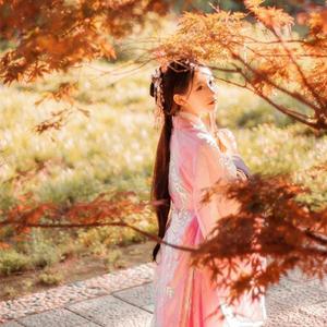 中国精品黄片大片大
